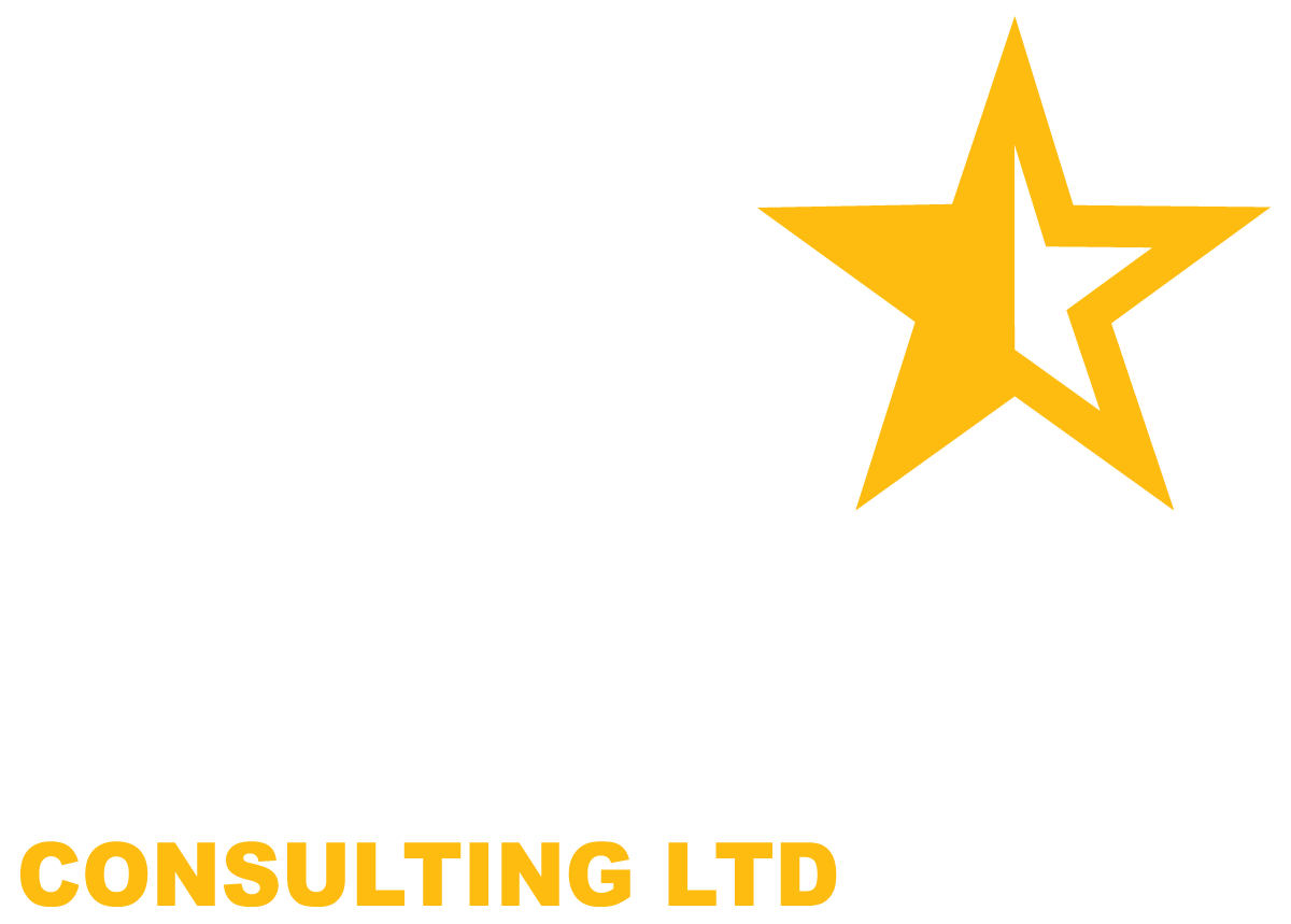 BTNSONS CONSULTING LTD